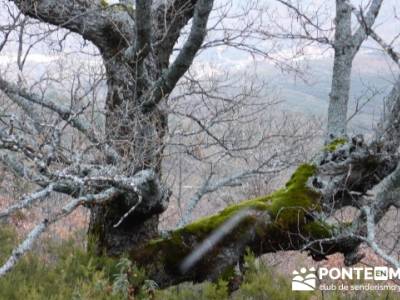 Circo de la Puebla. Sierra del Rincón;turismo en la sierra de madrid;sendero gps